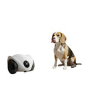 Kibblon Feed360 — Alimentador Automático 360° com Câmera para Pets