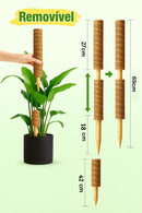 RiseCoco — Suporte Vertical Natural para Plantas