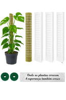 Tutor de Musgo para Plantas Trepadeiras — Suporte Para Crescer Mais Forte