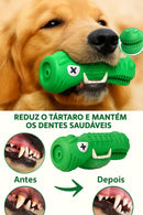 CrocoClean – Brinquedo de Mastigação para Dentes Saudáveis