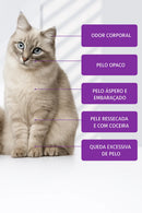 VeggDogg Pet Shampoo 2 em 1 com Lavanda – Deixe Seu Pet Cheiroso, Feliz e com Pelagem Macia Todos os Dias!