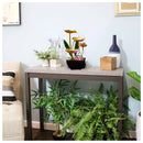 Fonte Zen Decorativa de Mesa com Cascata de Água e LED Relaxante