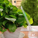 Irrigador Automático para Plantas 100ml – Regue Menos, Hidrate Melhor