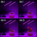 Lâmpada de Crescimento para Plantas – 9 Níveis de Brilho + Timer Automático