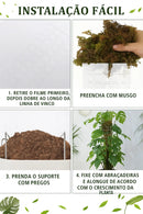 Tutor de Musgo para Plantas Trepadeiras — Suporte Para Crescer Mais Forte