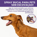 Spray Dental para Cães e Gatos — Limpa e Clareia os Dentes