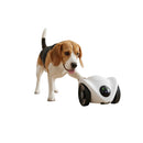 Kibblon Feed360 — Alimentador Automático 360° com Câmera para Pets