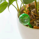 Irrigador Automático para Plantas 100ml – Regue Menos, Hidrate Melhor