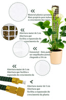 Tutor de Musgo para Plantas Trepadeiras — Suporte Para Crescer Mais Forte