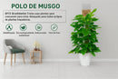 Tutor de Musgo para Plantas Trepadeiras — Suporte Para Crescer Mais Forte
