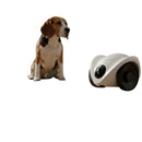 Kibblon Feed360 — Alimentador Automático 360° com Câmera para Pets