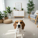 Kibblon Feed360 — Alimentador Automático 360° com Câmera para Pets