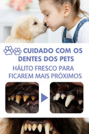 Spray Dental para Cães e Gatos — Limpa e Clareia os Dentes