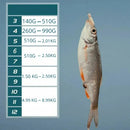 Kit Completo de Anzóis para Pesca com Estojo Organizador – Fisgada Certa em Qualquer Situação