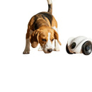 Kibblon Feed360 — Alimentador Automático 360° com Câmera para Pets