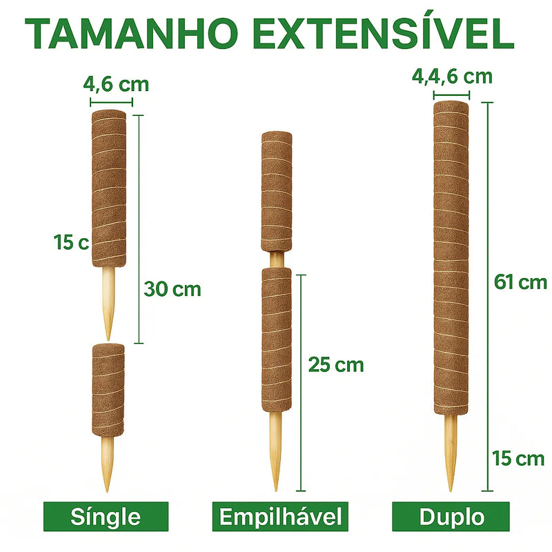 RiseCoco — Suporte Vertical Natural para Plantas